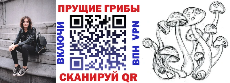 omg   Михайловка  Псилоцибиновые грибы ЛСД 