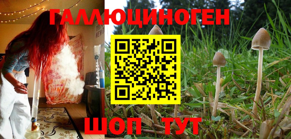 Галлюциногенные грибы ЛСД Михайловка